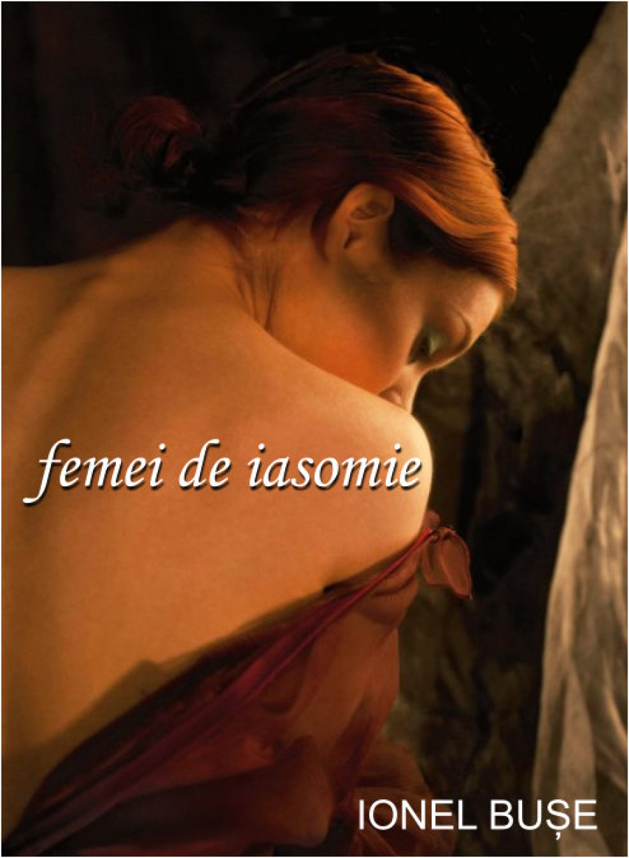 Un roman de dragoste cum nu s-a mai scris de mult!