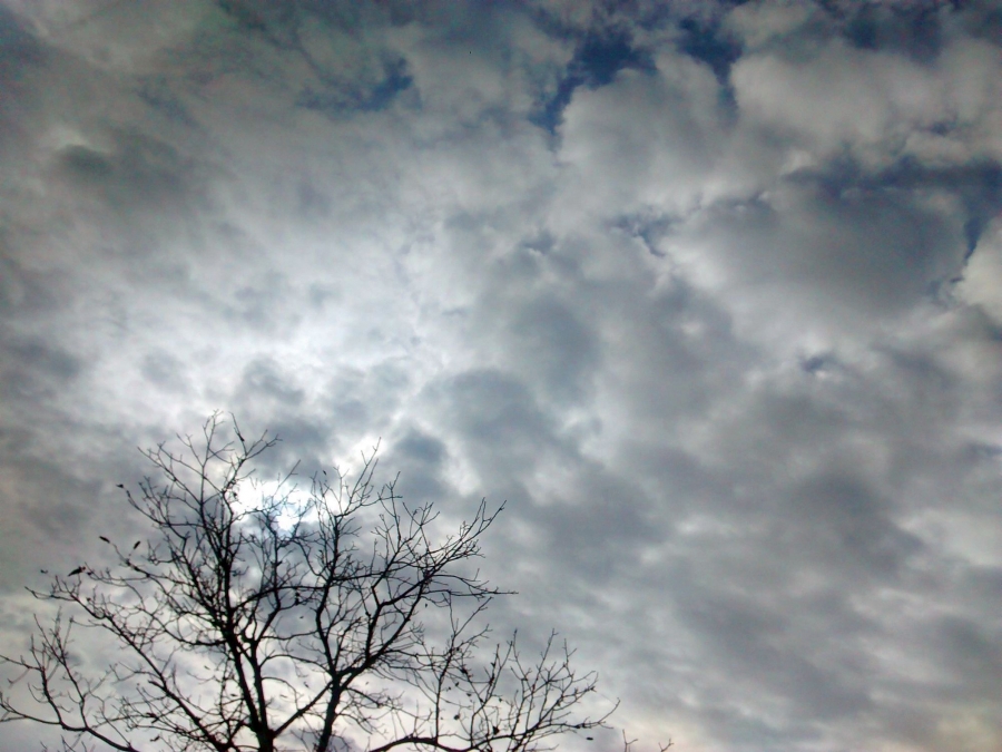 PROGNOZA METEO | Cum va fi VREMEA, luni, la GALAŢI