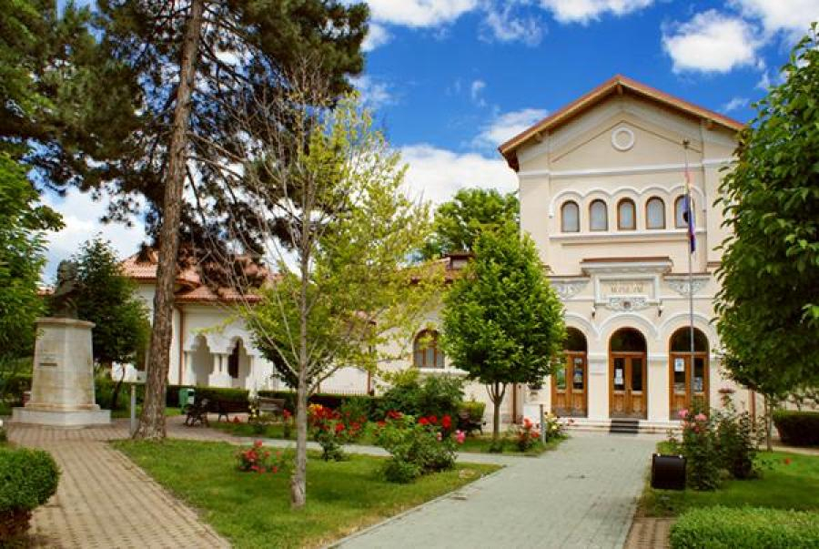 Restaurator pentru Muzeul ”Casa Cuza Vodă”