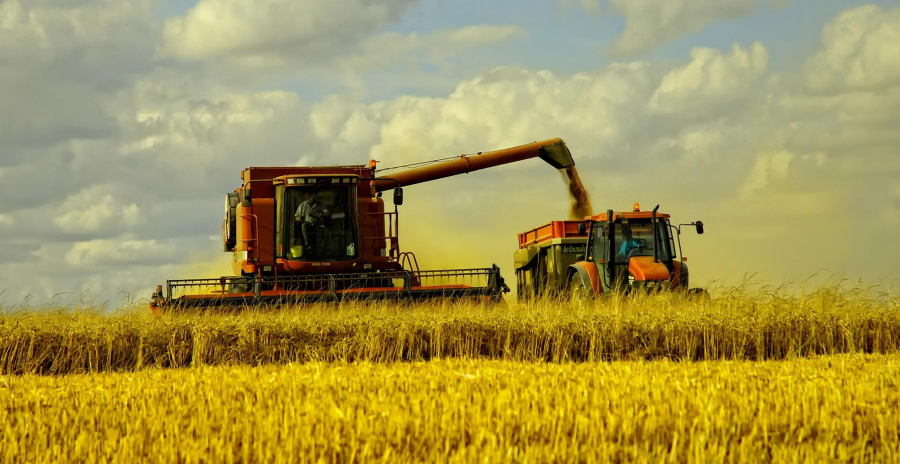 Producţii bune pentru fermierii gălăţeni, în ciuda capriciilor vremii