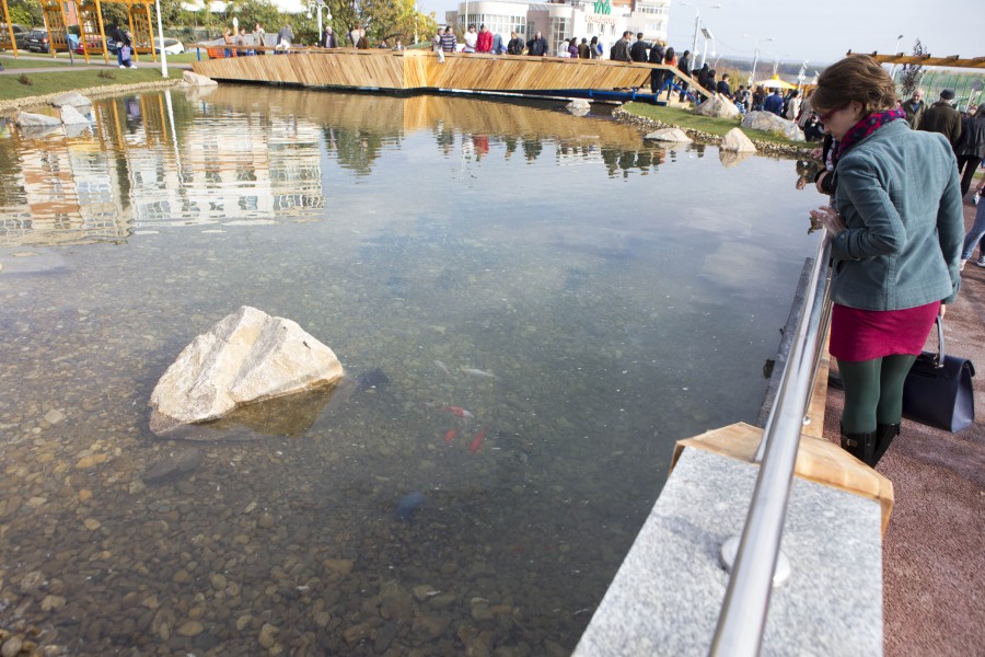 Pentru sănătatea peştilor: Primăria modernizează iazul din Parcul Viva
