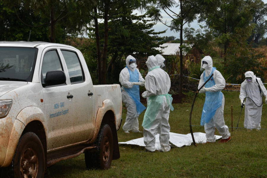 Două țări africane raportează focare ale virusului Marburg