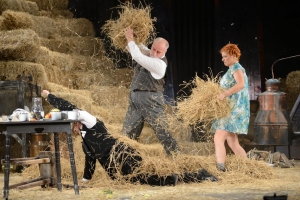 &quot;Cerere în căsătorie&quot; - o comedie de excepţie, duminică, la Teatrul Dramatic