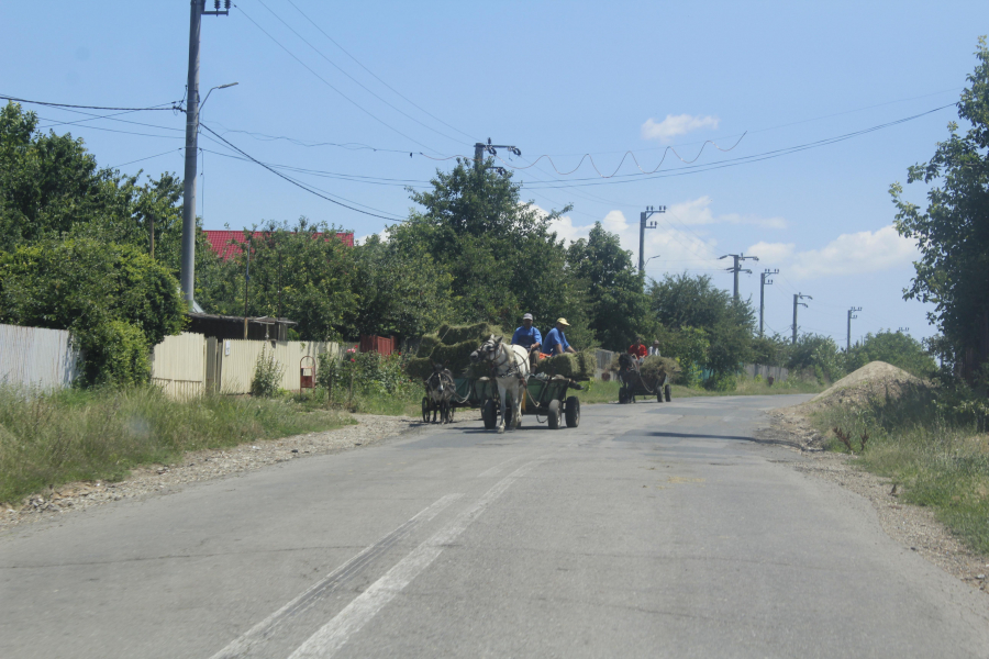 Legea 416, între venitul de subzistenţă şi favorizarea şomajului