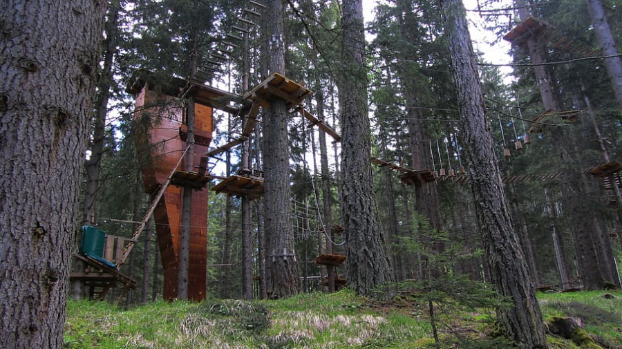 Proiect de Parc Aventura în pădurea Gârboavele