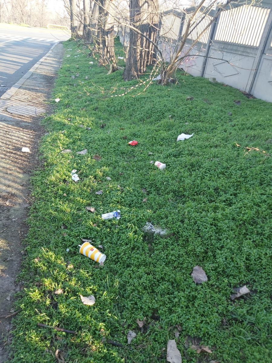 Poza zilei. Coş de gunoi uriaş şi toaletă publică ilegală, în coasta Grădiniţei Nr. 59