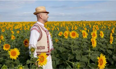 „Și-am zis verde micșunele/ Am crescut în solărele”