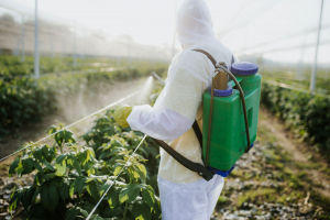 Chiar și legumele și fructele bio conțin pesticide