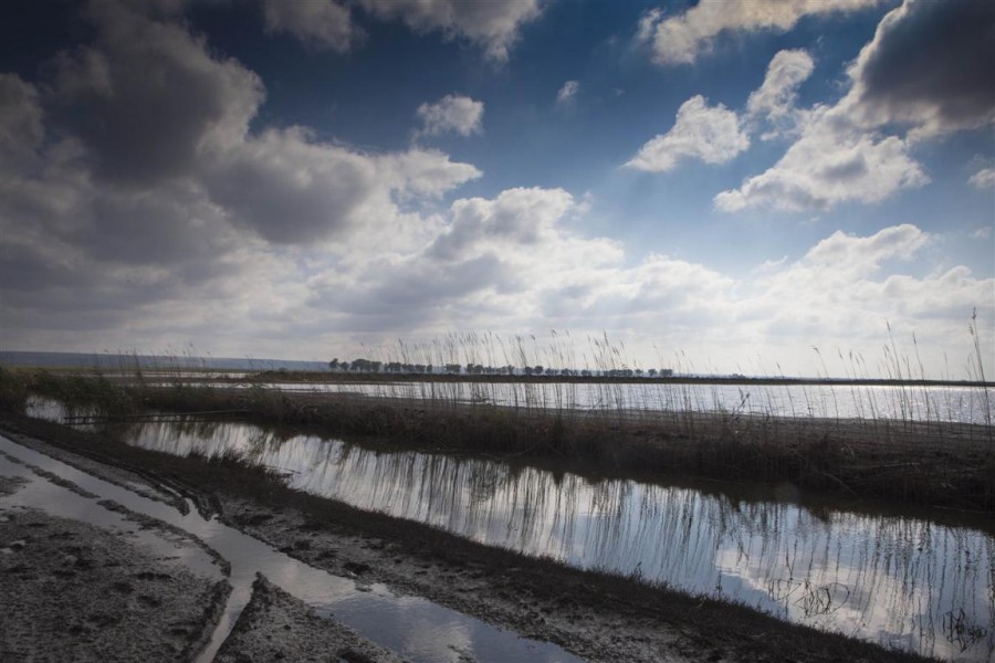 Terenul arabil din Lunca Brateşului de Nord s-a transformat în iaz