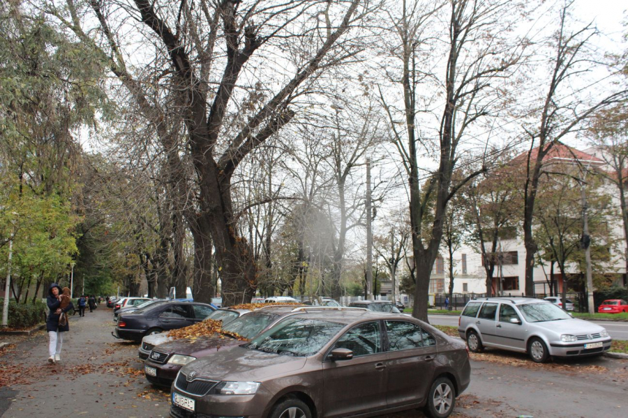 Cartier îmbătrânit, aștept gospodar! (FOTO)