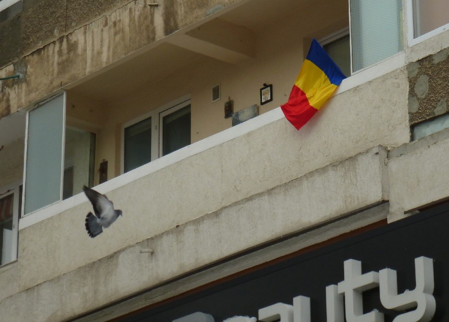 PATRIOTISMUL ia amploare şi la noi. GESTUL FĂCUT de tot mai mulţi gălăţeni (FOTO)