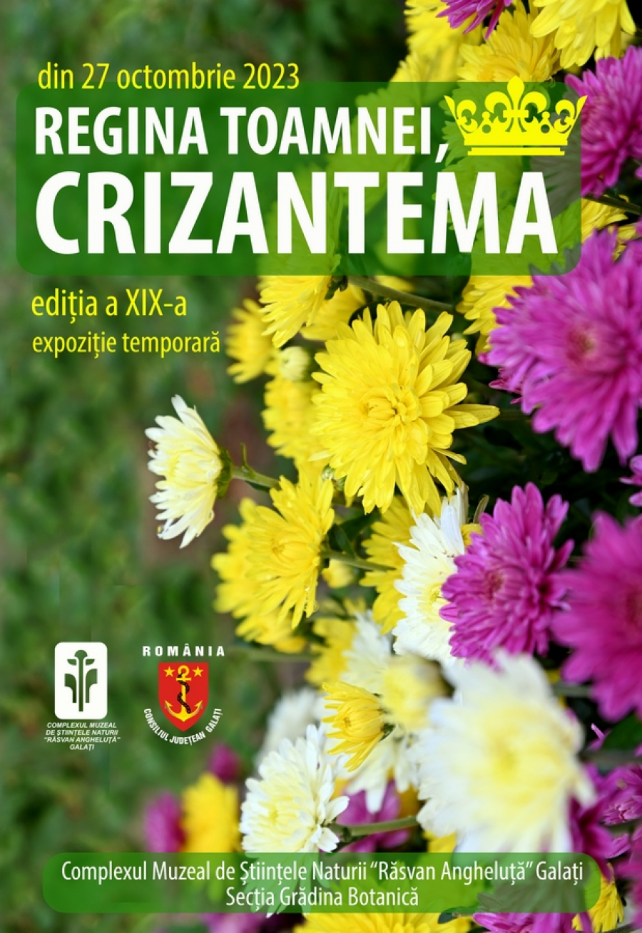 Expoziția "Regina Toamnei - Crizantema", la ediția a XIX-a