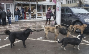 ASOCIAŢIILE de proprietari nu vor mai plăti TAXA DE ECARISAJ. Însă din... 2016