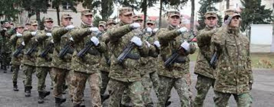 Două tipuri de militari voluntari pentru Armată