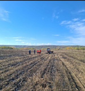 O femeie a fost găsită moartă pe un câmp în flăcări din județul Galați