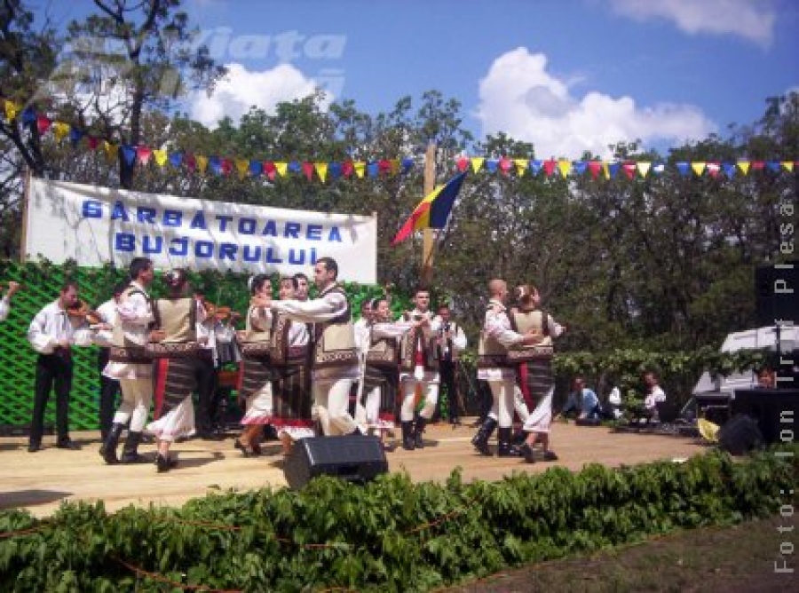 „Sărbătoarea Bujorului” - Fuego, amânat pentru la anul