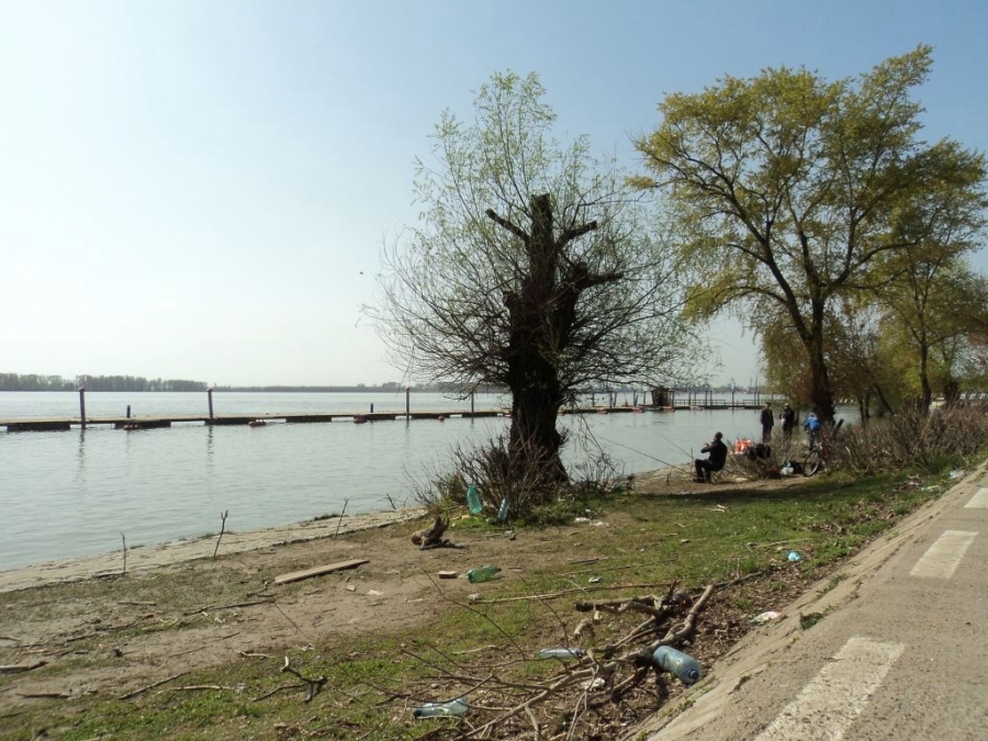 CÂINI şi GUNOAIE pe FALEZA Dunării. FOTO cu un loc de promenadă lăsat în PARAGINĂ