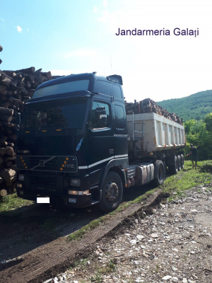 Transport ilegal de lemne, la Tg. Bujor