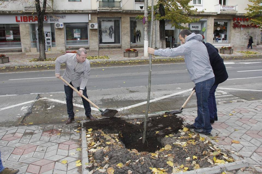 PAMFLET | Primăvara se numără "politrocii"