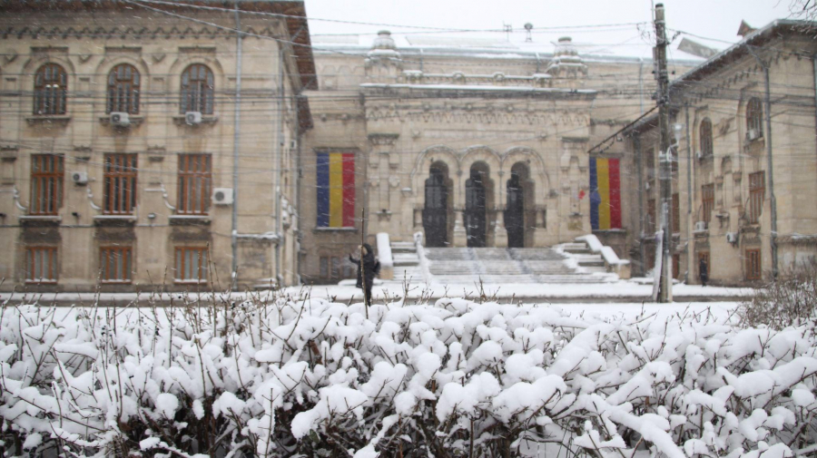 UPDATE Cursuri online sau faţă în faţă? | Sondajul printre studenţi este încă în desfăşurare