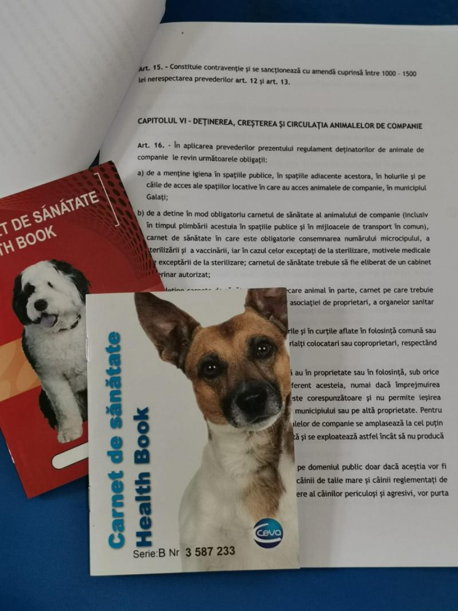 Când vă trebuie acordul vecinilor pentru un animal de companie