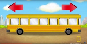 În ce direcţie CIRCULĂ autobuzul? Un test pentru copii, dar care pune în dificultate și mulți adulți