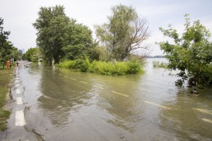 COD GALBEN/ Pericol de inundaţii pe Dunăre