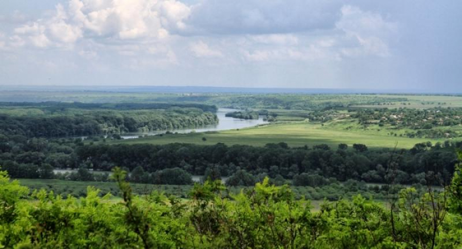 Pod de cărţi, la Nistru