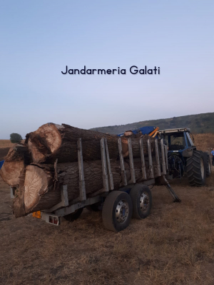 Lemn fără documente, depistat de jandarmii gălăţeni