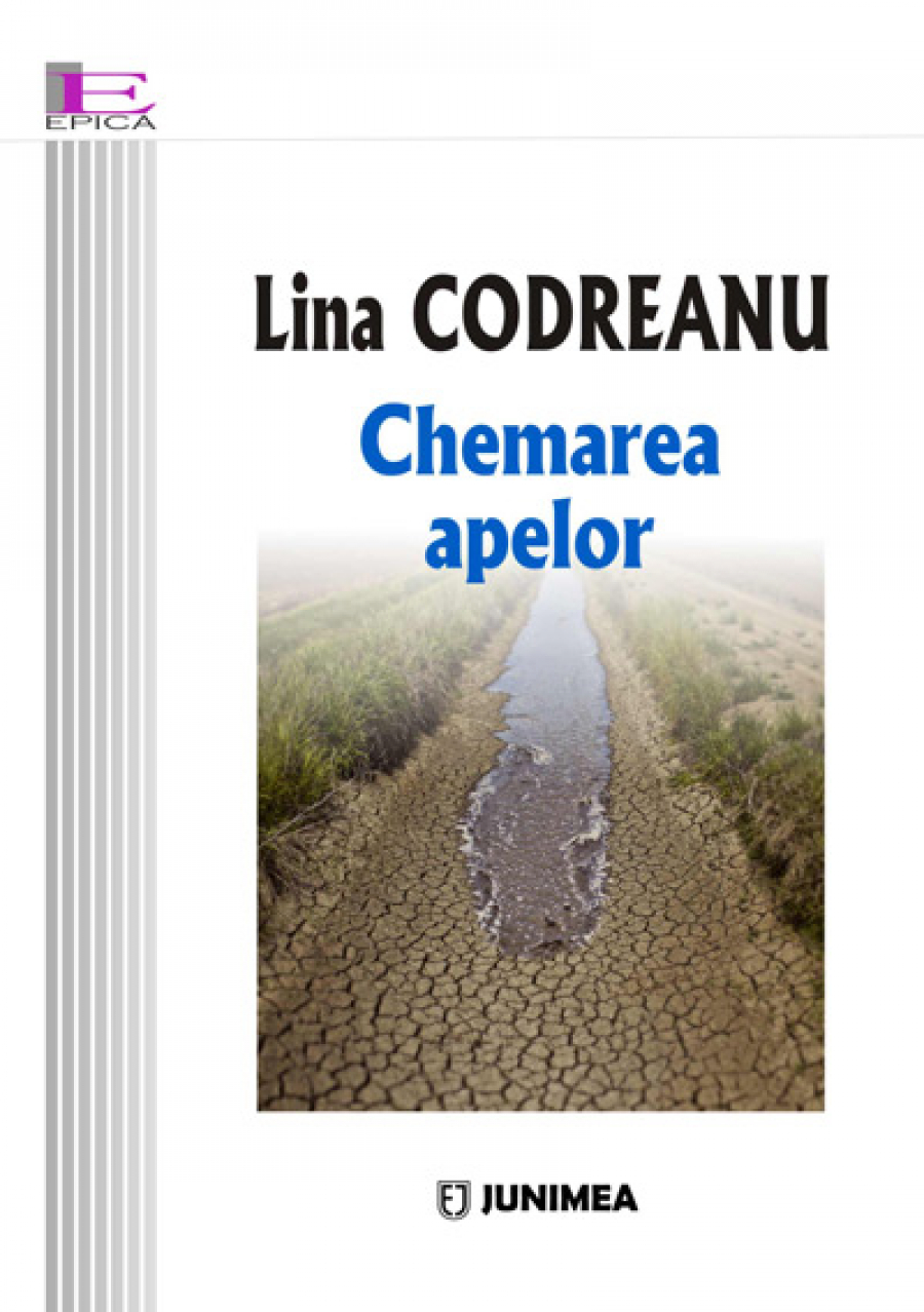 Lina Codreanu, Chemarea apelor. Un nou roman sui generis?