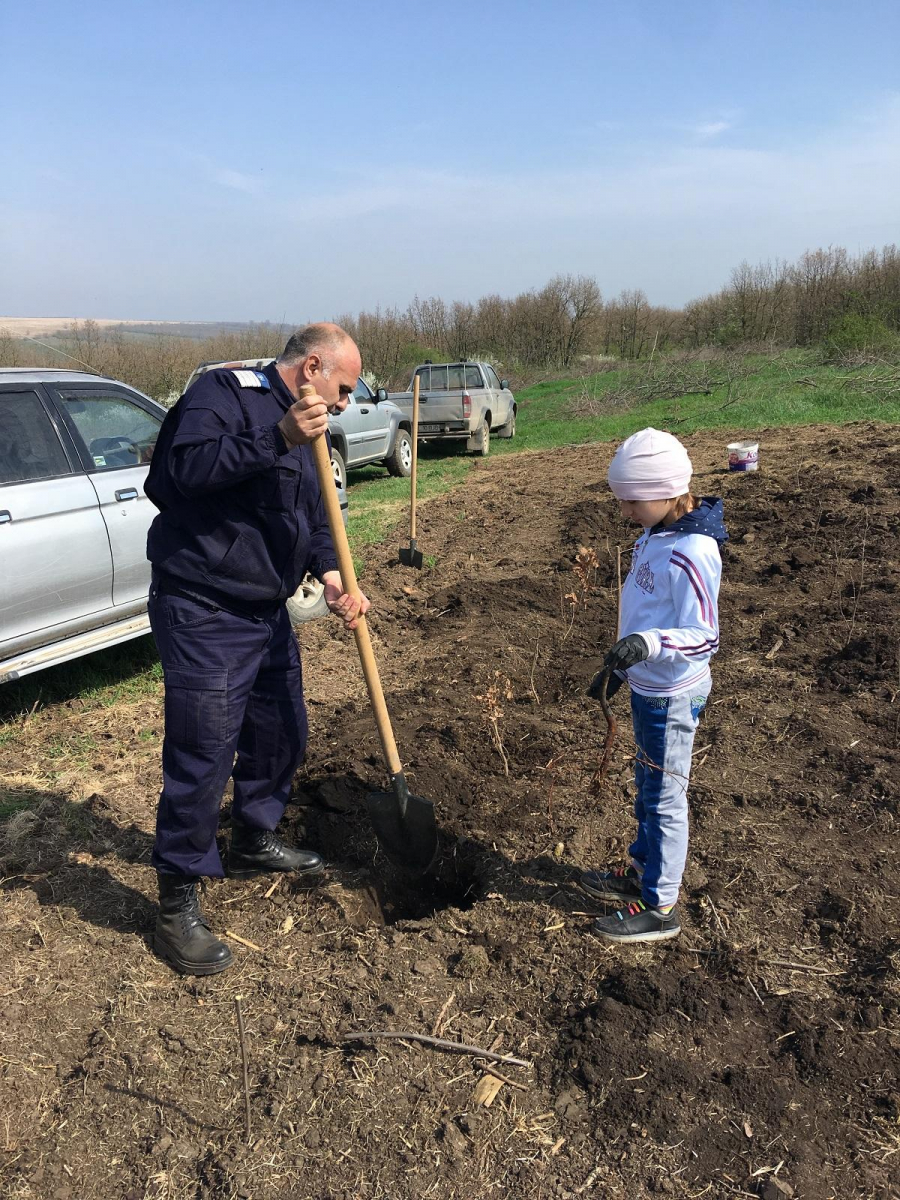 Împădurire cu puieţi de stejar, dedicată Centenarului