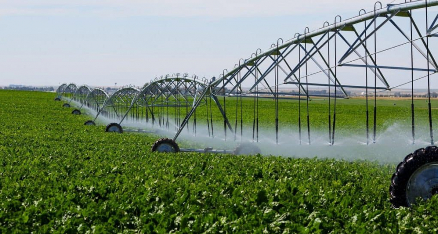 Alte promisiuni de la Ministerul Agriculturii: 1,5 miliarde euro pentru sistemele de irigații