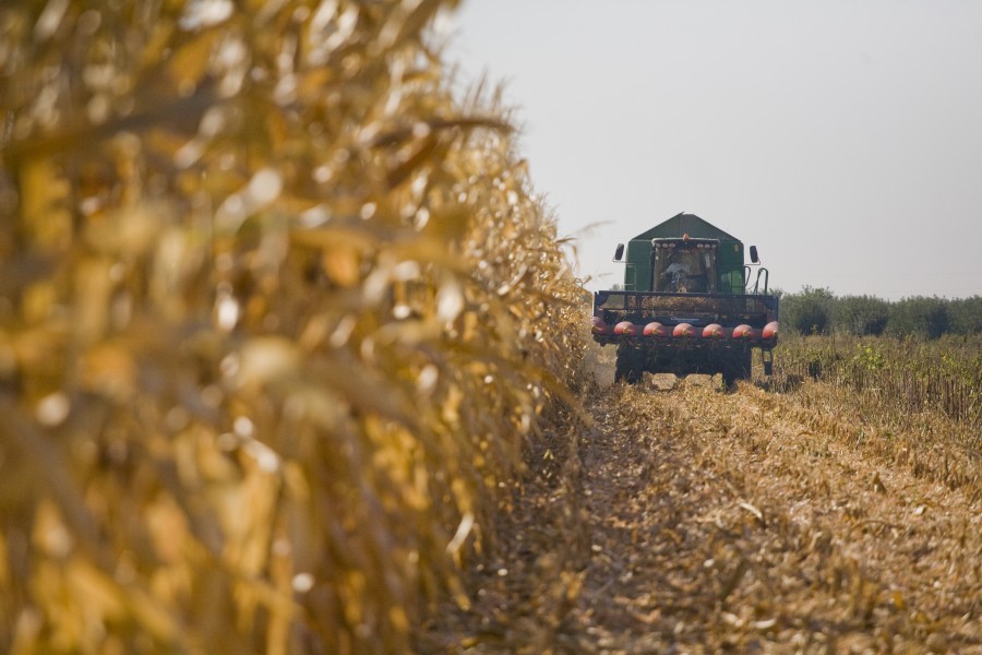 Campanie VL "Din culisele agriculturii": Străinii care s-au făcut fermieri gălăţeni