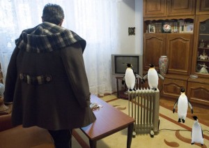 PAMFLET/ Senzaţional! Din cauza frigului din apartamente, gălăţenii cresc pinguini în loc de pisici