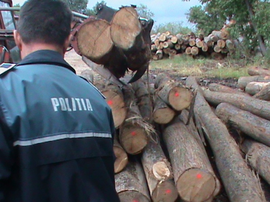 INCIDENT GRAV cu ocazia unui FLAGRANT. Hoţii i-au BĂTUT CRUNT pe doi angajaţi ai Ocolului Silvic