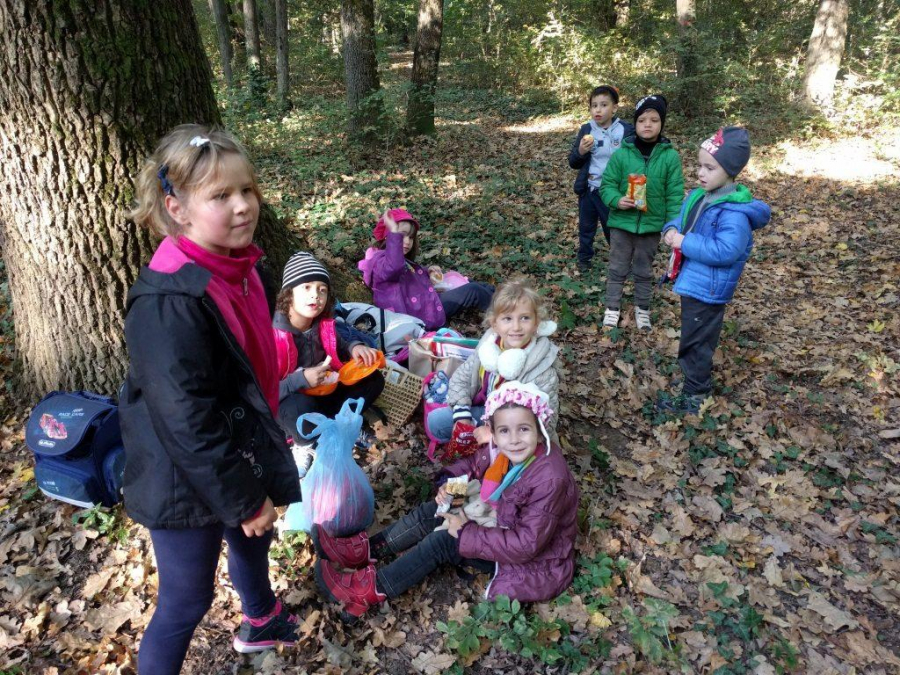 Proiect educaţional ”Luna pădurii”. ÎNSCRIERI