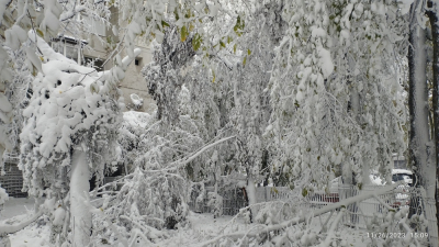 Primul episod sever de iarnă a lovit cu furie Galațiul. Drumuri blocate, copaci căzuţi, pene de curent și școli închise (FOTO și VIDEO)