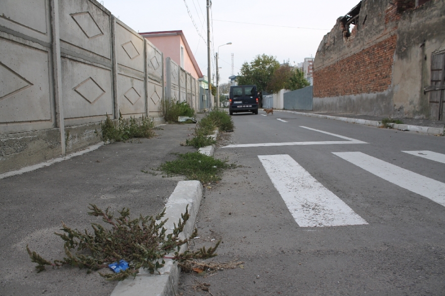 Râsu' plânsu' pe o stradă din Port: Carosabil bun, doar că e plin de boscheţi