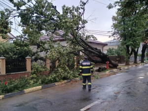 Copac cazut peste cabluri electrice, mun. Tecuci, str. Elena Doamna. S-a deplasat o autospeciala de stingere de la Detasamentul de Pompieri Tecuci.