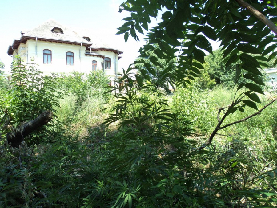 Parcare subterană şi piaţetă. Planuri pentru ”jungla” de pe strada Domnească (FOTO)