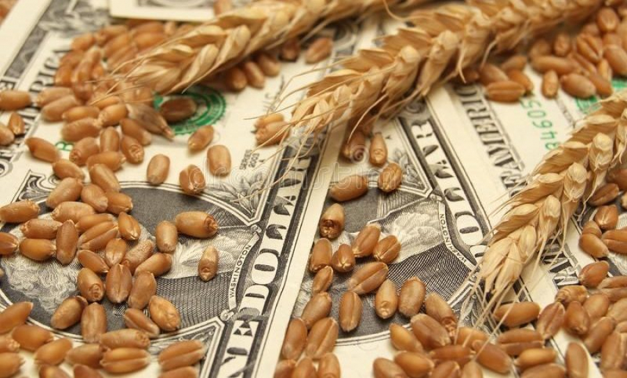 Încă 15 milioane de tone de cereale ucrainene la export