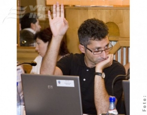 Motanul se pasează pe gazon artificial 