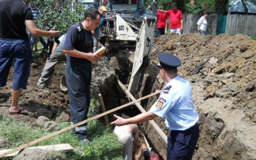 Misiune contra-cronometru pentru salvarea unei vaci pe strada Garofiţei