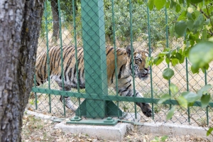 Grădina Zoologică s-a redeschis/ Cum arată parcul de 3,2 milioane de euro (FOTO)