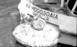 23 de ani de la tragedia Mogoşoaia