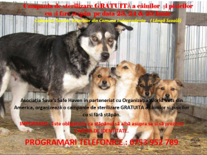 Campanie GRATUITĂ de sterilizare câini şi pisici, la Independenţa