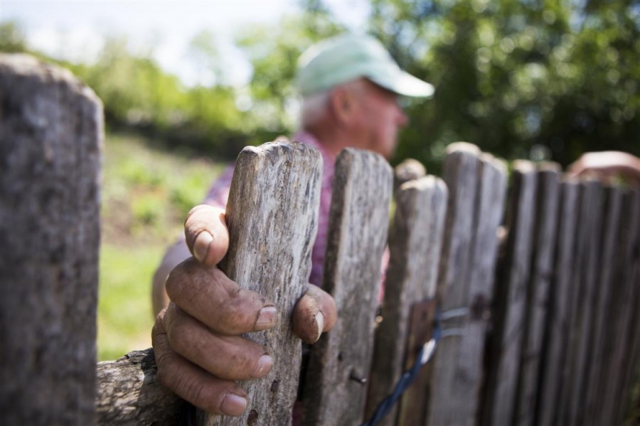 Cine sunt singurii angajatori din mediul rural gălăţean 