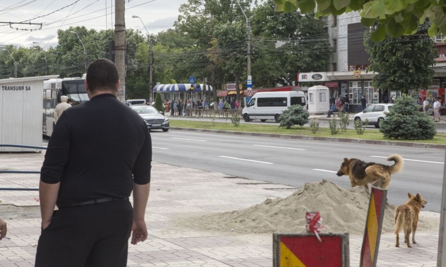 FOTO/ REPORTAJ în Ţiglina II - un cartier liniştit, dar nu prea! "Suferim la capitolul civilizaţie"