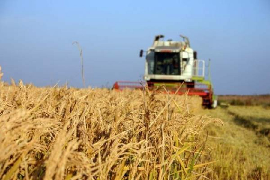 Ministrul Agriculturii: Fermierii care au între 5 şi 30 de hectare de teren vor primi 175 euro/hectar