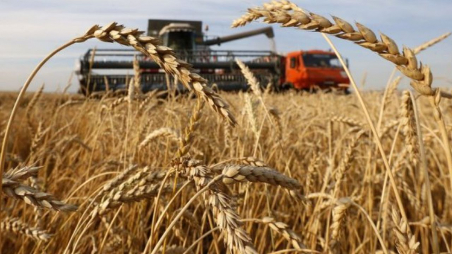 An agricol bun pentru producția de grâu